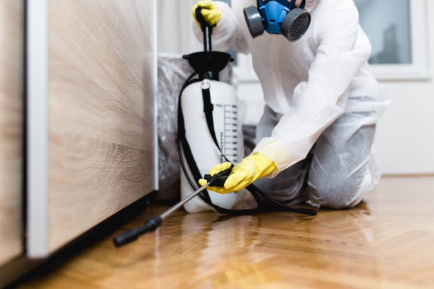 Best Best Pest Control Near Me  in Coram, NY
