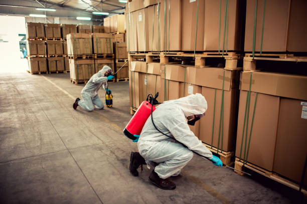 Flea Control Services in Coram, NY
