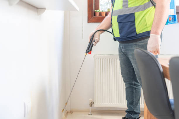 Professional Pest Control in Coram, NY