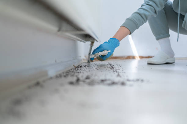 Best Residential Pest Control  in Coram, NY